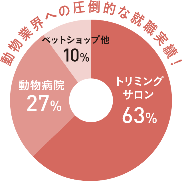 卒業後の進路